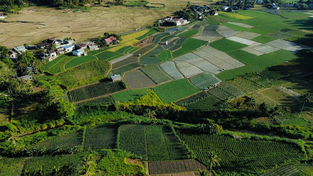 Dzierżawa gruntów rolnych: co warto wiedzieć