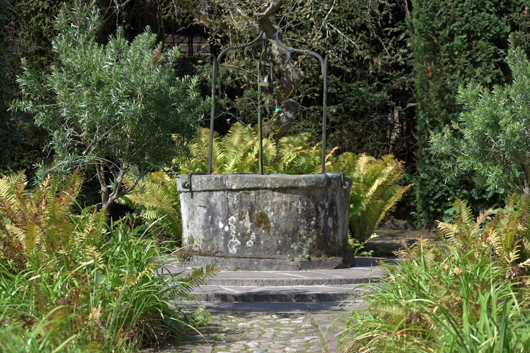 Użytkowanie wód płynących: zasady i praktyka